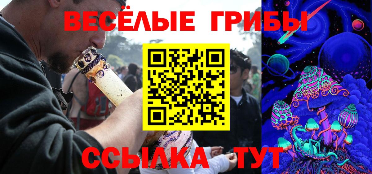 Феодосия  Псилоцибиновые грибы Psilocybine cubensis  Вход с VPN 